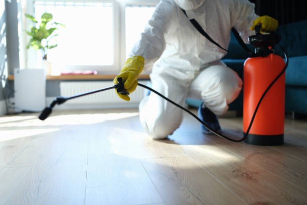 Reliable Odor Removal contractor in Mount Sterling, IL by Trauma Clean Pros